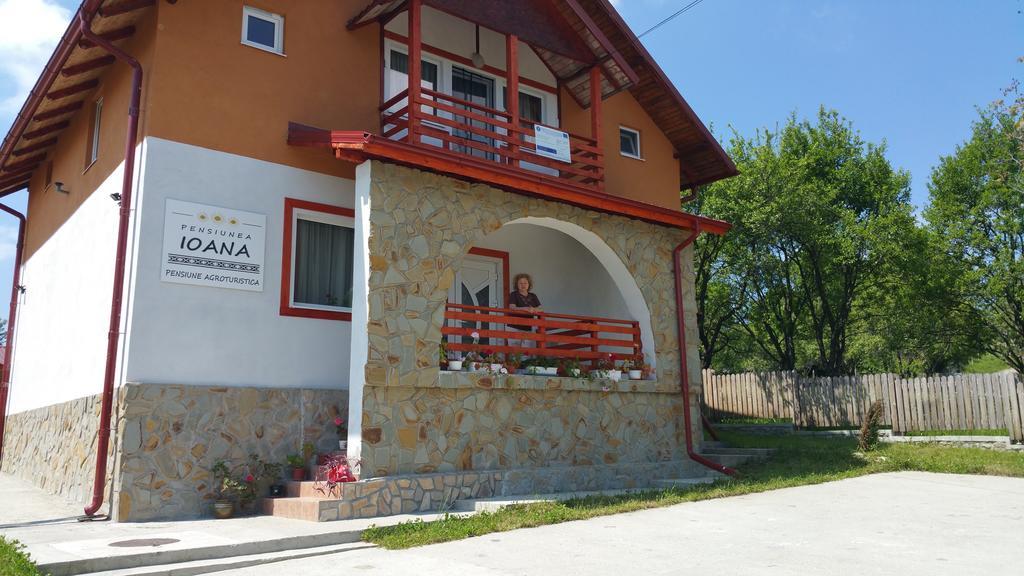 Bradulet Pensiunea Agroturistica Ioana מראה חיצוני תמונה