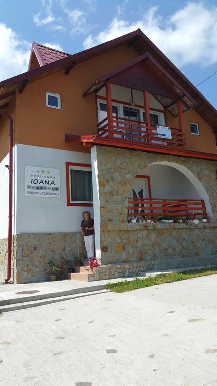 Bradulet Pensiunea Agroturistica Ioana מראה חיצוני תמונה