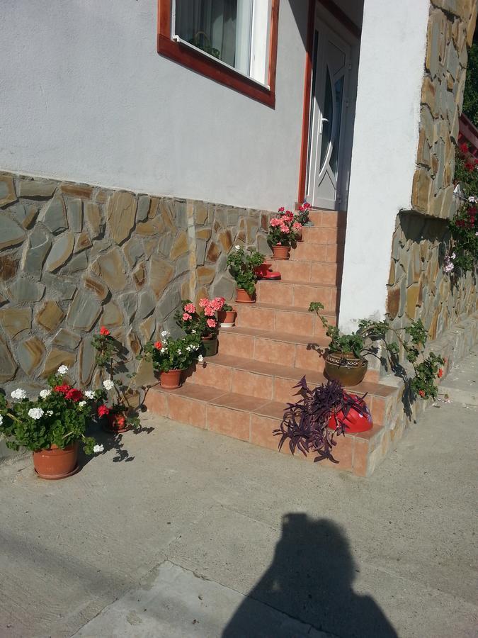 Bradulet Pensiunea Agroturistica Ioana מראה חיצוני תמונה