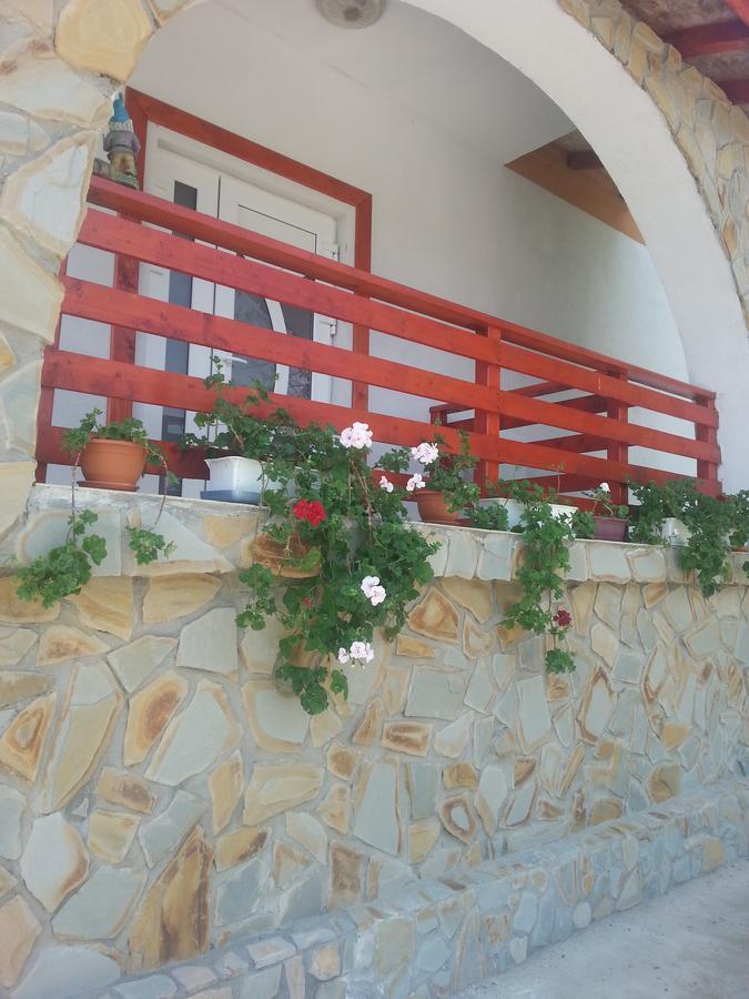Bradulet Pensiunea Agroturistica Ioana מראה חיצוני תמונה