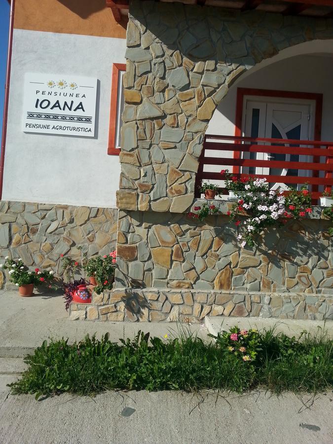 Bradulet Pensiunea Agroturistica Ioana מראה חיצוני תמונה