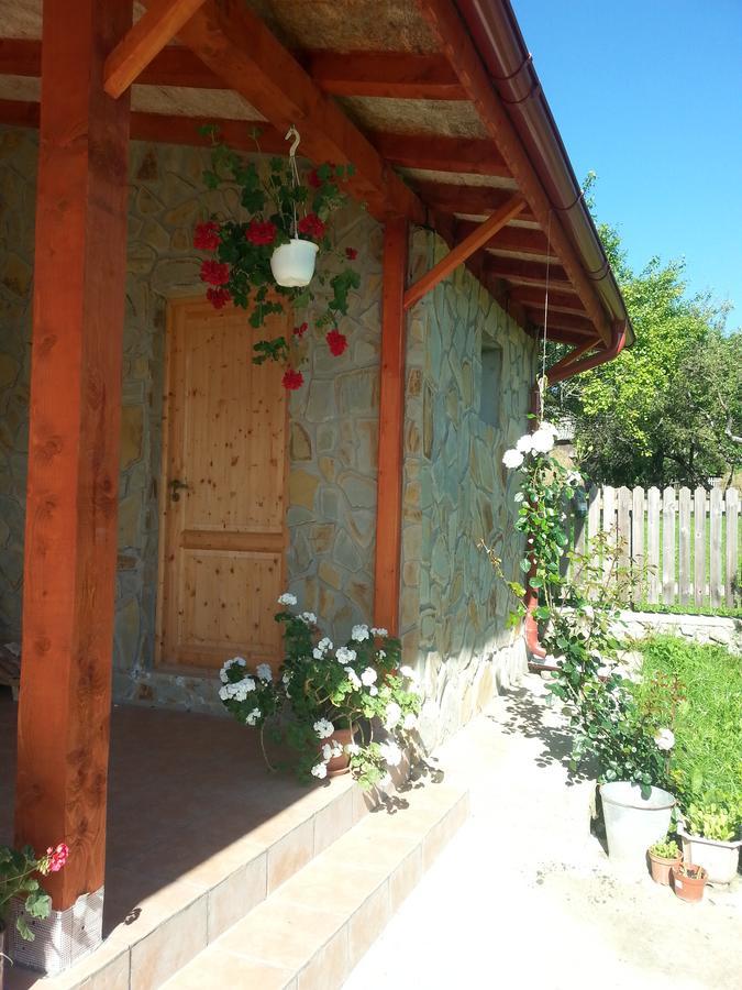 Bradulet Pensiunea Agroturistica Ioana מראה חיצוני תמונה