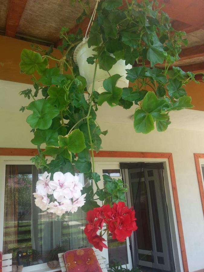 Bradulet Pensiunea Agroturistica Ioana מראה חיצוני תמונה