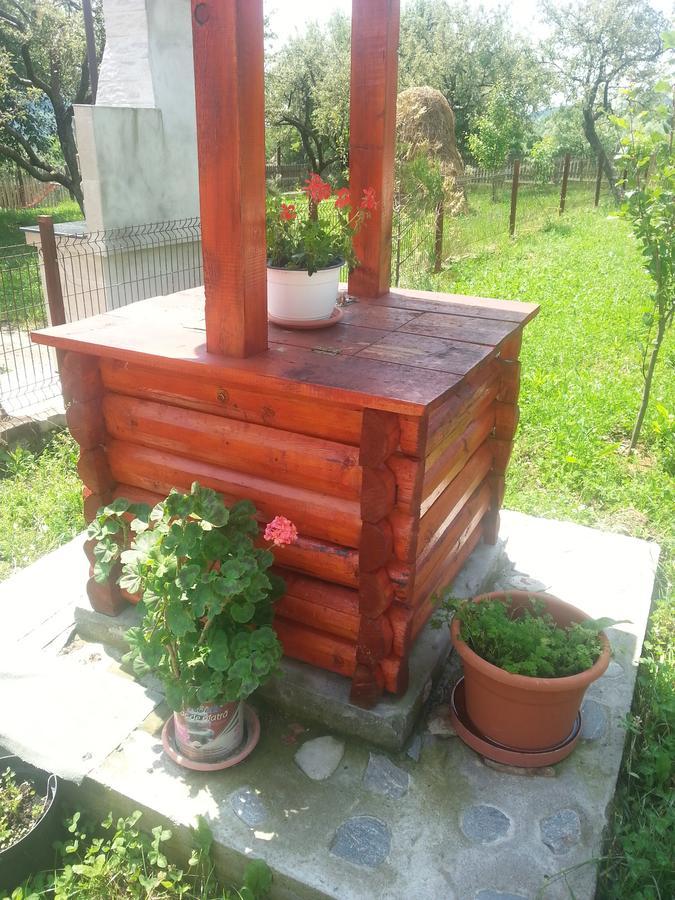 Bradulet Pensiunea Agroturistica Ioana מראה חיצוני תמונה