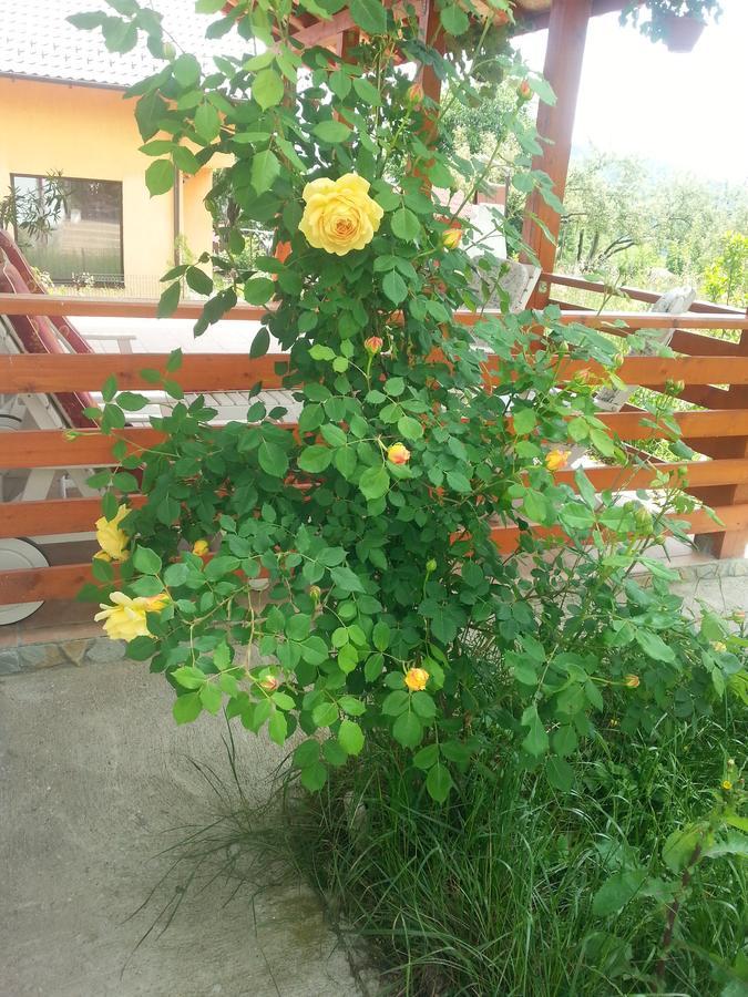 Bradulet Pensiunea Agroturistica Ioana מראה חיצוני תמונה