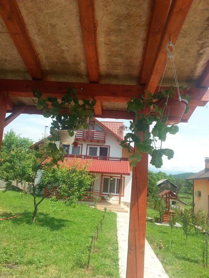 Bradulet Pensiunea Agroturistica Ioana מראה חיצוני תמונה